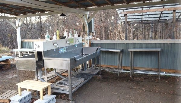 北軽井沢　どんぐり山の一番星キャンプ場